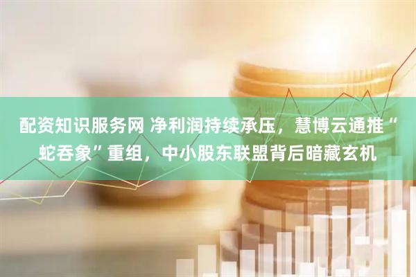 配资知识服务网 净利润持续承压，慧博云通推“蛇吞象”重组，中小股东联盟背后暗藏玄机