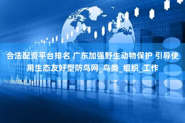 合法配资平台排名 广东加强野生动物保护 引导使用生态友好型防鸟网_鸟类_组织_工作
