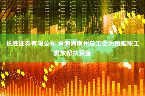长胜证券有限公司 青海海南州总工会为困难职工发放帮扶资金